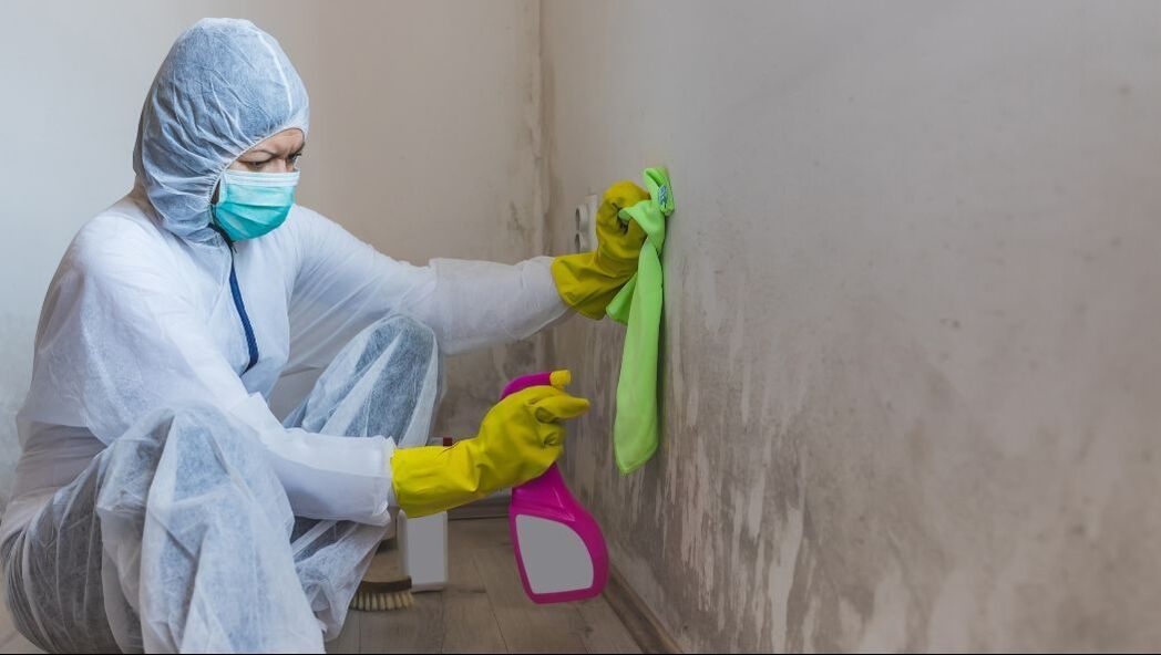 Mold Inspection