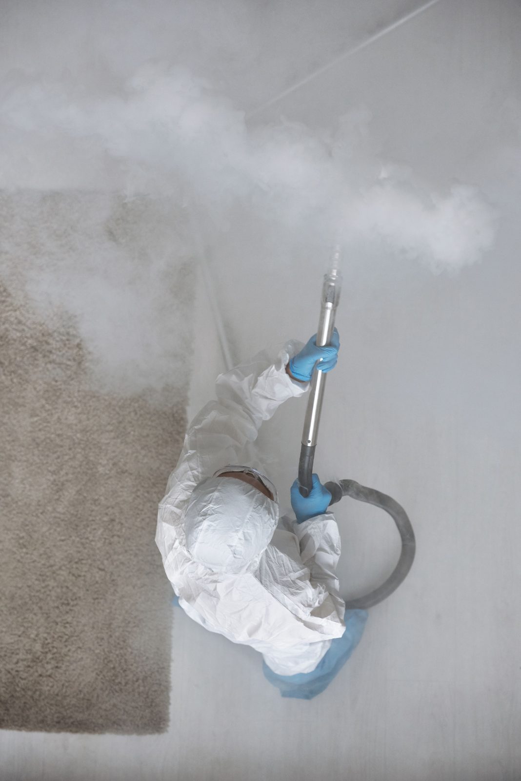Mold Testing